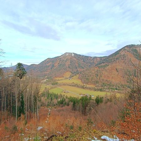 Hintererhof Leilighet Hintersee Eksteriør bilde