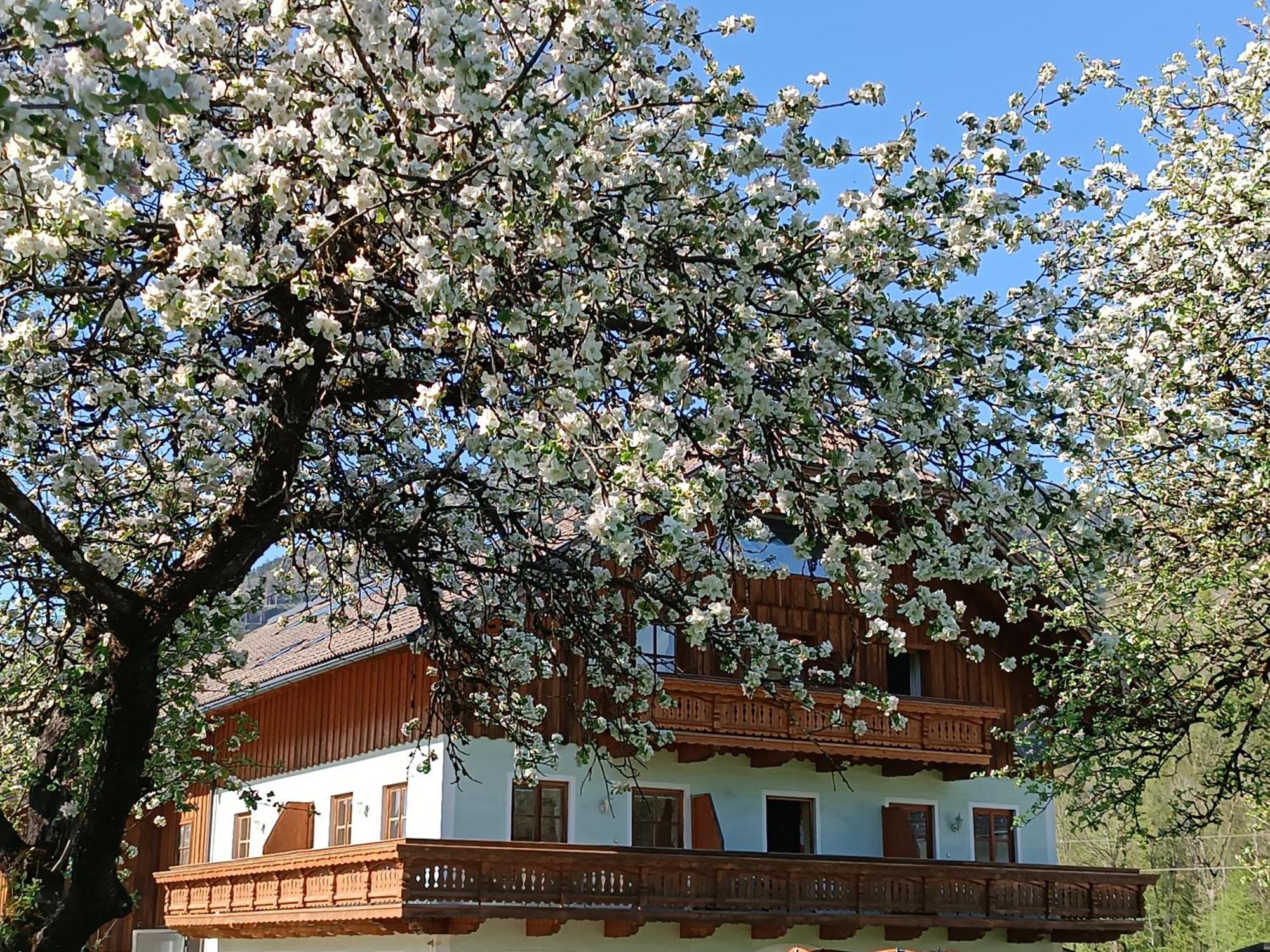 Hintererhof Leilighet Hintersee Eksteriør bilde